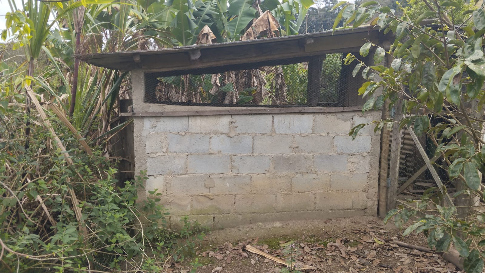 Foto 5