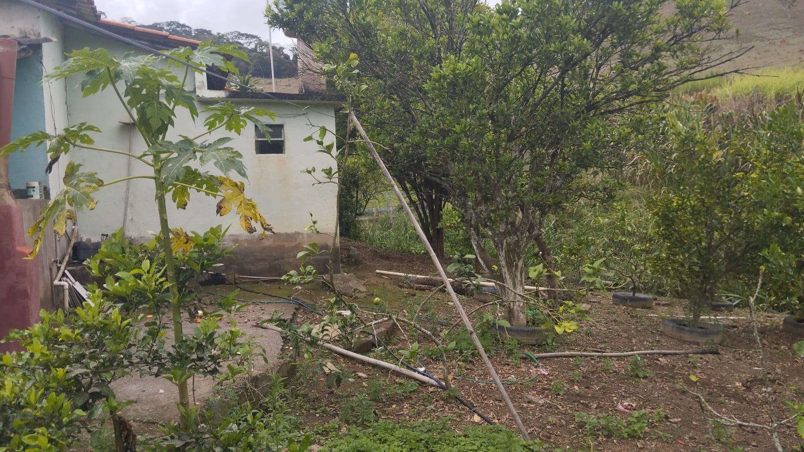 Foto 15
