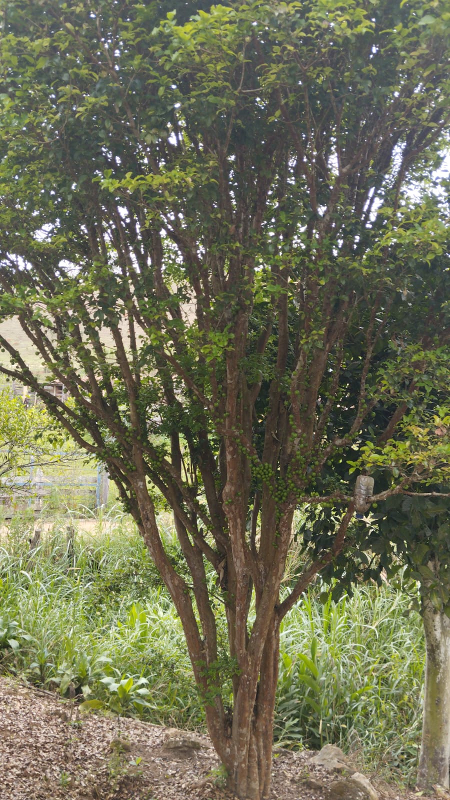 Foto 17